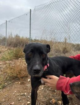 Bonita hat so viel Liebe zu geben - Berlin