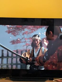 LG OLED 65BX TV für 750€ - Hildesheim