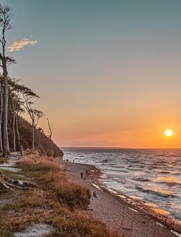 Suche eine traditionelle Frau, die sich Struktur wünscht - Köln Zentrum