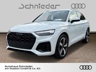 Audi Q5, 40 TDI, Jahr 2024 - Herford (Hansestadt)