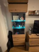 Neue Möbel zu verkaufen in 73095