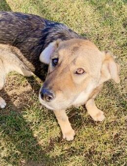 🩷 𝐊𝐢𝐫𝐚 - Markkleeberg