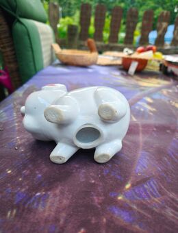 Sparschwein und - Stralsund