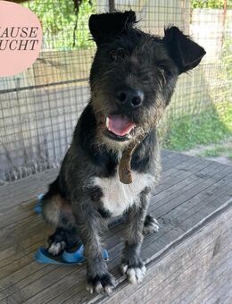 Hi, my name is PONSI ❤️ - Saarbrücken