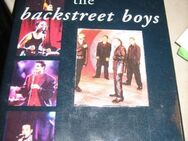 a night out with the Backstreet boys, Box mit CD + Video ... - Bad Belzig Zentrum