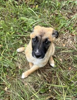 LEILA - spielen und lernen ist cool - Overath