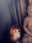 Holly & Zoe in 88422