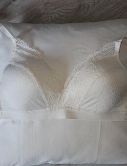 BH Hunkemöller 80D - Reinfeld (Holstein)