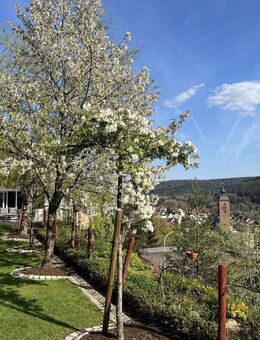 Villa in Südlage mit Weitblick - Provisionsfrei! - Rodalben