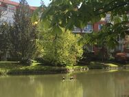 Kleine Wohnung - große Wirkung, Soutterain-Wohnung im Wohnpark Am See! - Ronnenberg