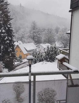 Schöne 1 Zimmer Wohnung mit EBK und Balkon in Schönmünzach - Baiersbronn