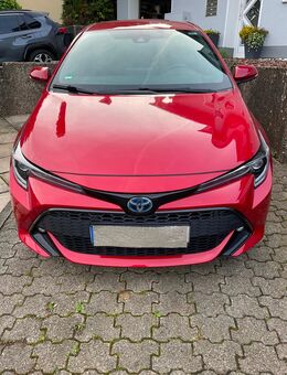 Toyota Corolla Hybrid 2,0 Team D - Lindlar