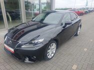 Lexus IS 300 h h - Anklam