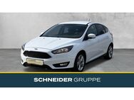 Ford Focus, 1.0 EcoBoost AAC, Jahr 2017 - Freiberg