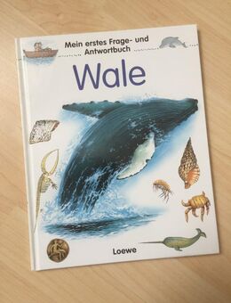 Mein erstes Frage- und Antwortbuch, Wale - Kindersachbuch - Bremen