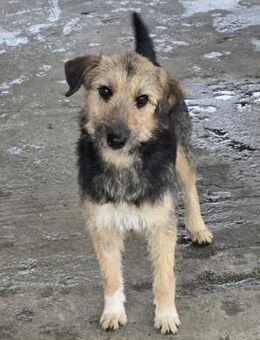 Greta ❤️ aufgeschlossenes liebes Mädchen - Velbert