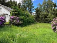 Ferienhaus im Dornröschenschlaf - Willingen (Upland)