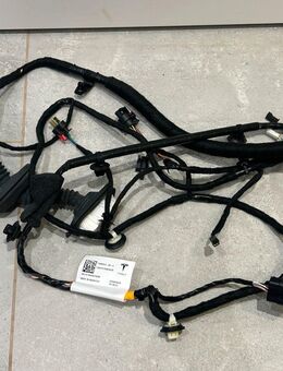 Tesla Y - Kabelbaum / Leitungssatz Tür hinten links - Lehrberg