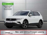 VW Tiguan 2.0 TDI Life 4M //AHK/Navi/Kamera/Winterpaket - Thannhausen