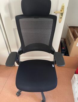 Bürostuhl/Gamingstuhl von Ergotopia, den Ergotopia NextBack - Fulda