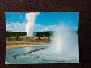 Ansichtskarte-SAWMILL AND CASTLE GEYSERS,Yellowstone National-Park. - Nörvenich