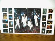 Saturday Night Fever-The Original Movie Sound Track-Vinyl-DLP,RSO,1977 - Linnich