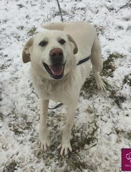 Du und Eva - das perfekte Team 😊 - Spenge