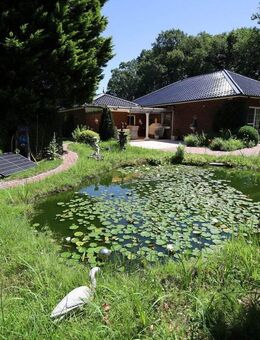 Lage, Lage, Lage....Außenbereich!!! Bungalow mit Ausbaureserve und Traumgrundstück - Bakum