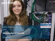 Werkstudent IT (m/w/d) - Wildberg (Baden-Württemberg)