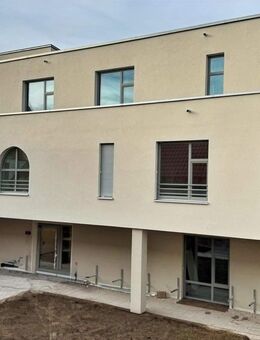 Service-Wohnungen in Uettingen - Erstbezug - Uettingen