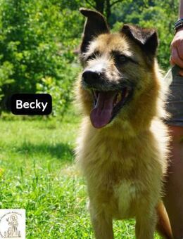 Becky Eine Lady zum Verlieben, ... - Kissing