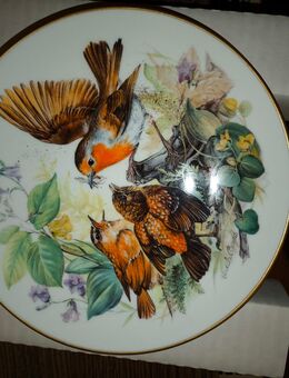 Hutschenreuther Sammelteller hungrige Rotkehlchen - Göttingen