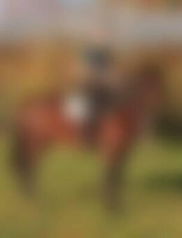 Son*** - Überlingen