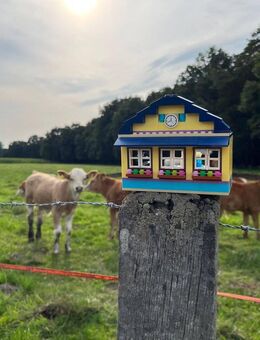 Landhaus Alleinlage Nähe Versmold - Versmold
