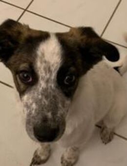 Helga ist bereit für ihr neues Leben - München