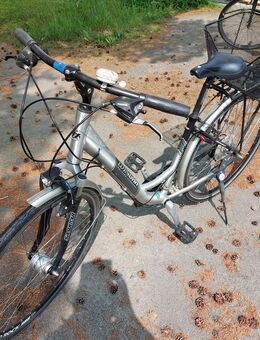 Damen Fahrrad 26" - Neustadt (Sachsen)