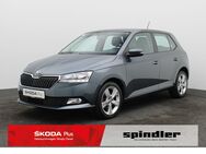 Skoda Fabia, 1.0 TSI Active, Jahr 2020 - Würzburg