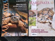 Schildkrötenfachmagazin "Marginata " - Dresden