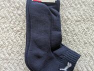 Sneakers Puma Socken 3 parr Brandneu Größe 39 - 42 - Zeitz