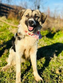 Tilka mit den tollen Augen ❤️ - Mylau