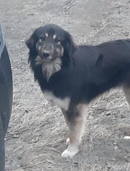 Süße Cara sucht - Mönchengladbach