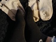 Verkaufe meine getragenen socken - Magdeburg