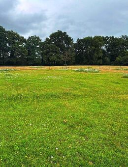 Penthouse mit fantastischer Aussicht in Oldenburg - Oldenburg
