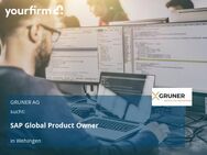 SAP Global Product Owner - Wehingen