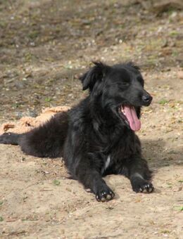 hübsche DAYA möchte die Welt entdecken - Schwabach