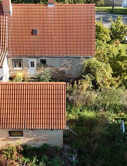 Selbstverwirklichung auf 2.619 qm großem Grundstück + im Umkreis von Halle (Saale) - Teutschenthal