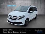 Mercedes V 250, d EDITION Lang Liege-Paket, Jahr 2023 - Worms