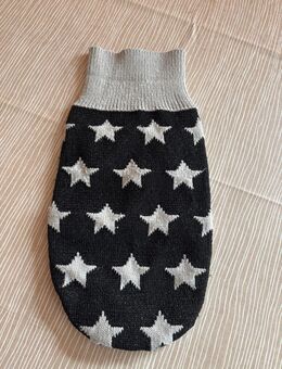 Hundepullover - Seligenstadt