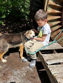 Kinderlieber gelehriger MOMO sucht ♥️ - München