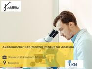 Akademischer Rat (m/w/d) Institut für Anatomie - Münster